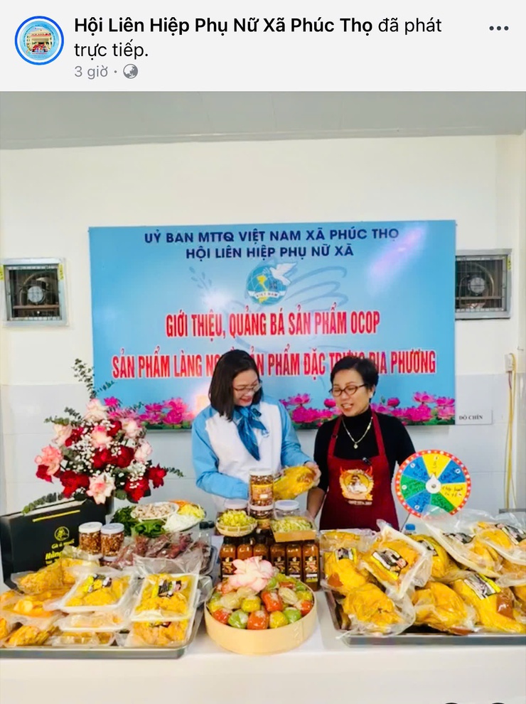 Xã Phúc Thọ: Tuyên truyền, hướng dẫn các cơ sở kinh doanh, chủ thể OCCOP, làng nghề trên địa bàn ứng dụng nền tảng số trong giao nhận hàng hóa- Ảnh 1.