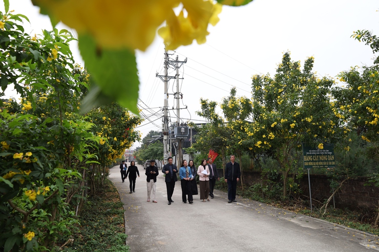 Đoàn công tác số 2 của thành phố Hà Nội kiểm tra thực tế việc triển khai Cuộc thi "Xã, phường sáng – xanh – sạch – đẹp" năm 2025 tại xã Suối Hai- Ảnh 2.