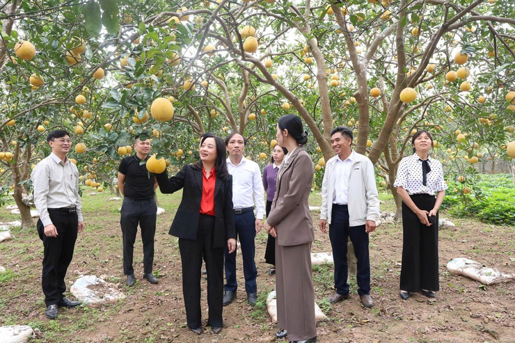 Vân Đình lan tỏa những mô hình sáng tạo từ cơ sở- Ảnh 3.