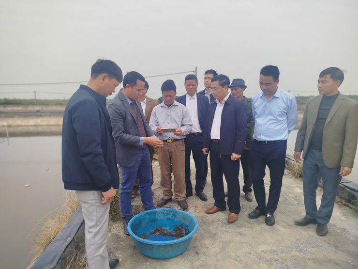 ĐOÀN CÔNG TÁC XÃ ỨNG HÒA HỌC TẬP KINH NGHIỆM TỪ MÔ HÌNH NUÔI CUA CÀ RA TẠI NINH BÌNH VÀ HƯNG YÊN.- Ảnh 1.