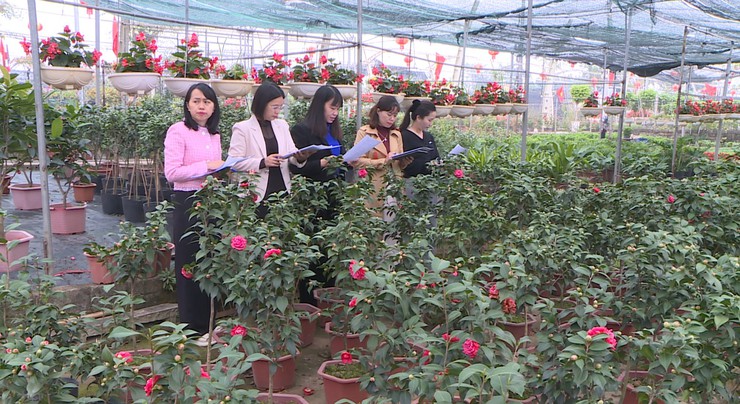 Chấm điểm Hội thi vườn hoa, cây cảnh đẹp trên địa bàn Tích Giang, xã Phúc Thọ năm 2025- Ảnh 3.