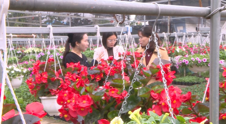 Chấm điểm Hội thi vườn hoa, cây cảnh đẹp trên địa bàn Tích Giang, xã Phúc Thọ năm 2025- Ảnh 2.