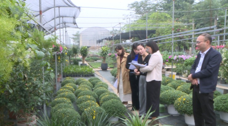 Chấm điểm Hội thi vườn hoa, cây cảnh đẹp trên địa bàn Tích Giang, xã Phúc Thọ năm 2025- Ảnh 1.