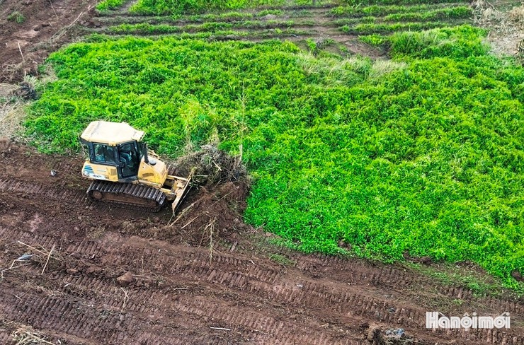 Đại công trường thi công hồ điều hòa  phường Long Biên- Ảnh 8.
