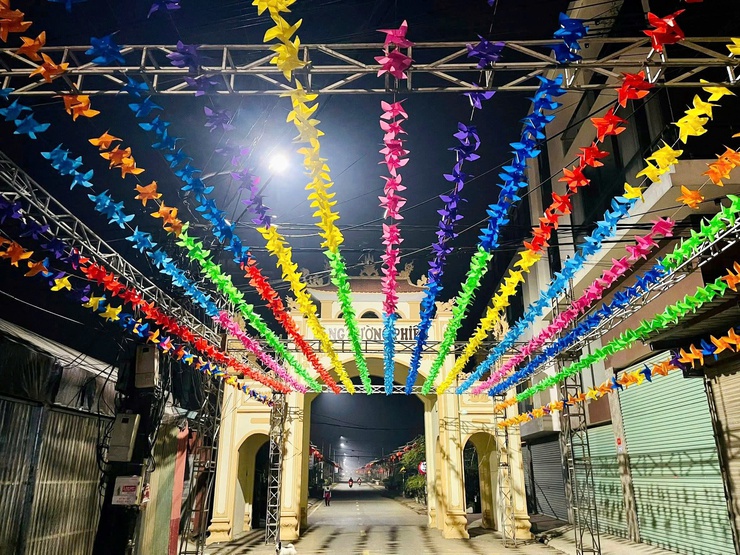 Tích Giang rực rỡ sắc hoa – Khởi đầu Festival làng nghề hoa, cây cảnh lần thứ I- Ảnh 2.