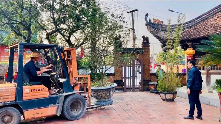 Tích Giang rực rỡ sắc hoa – Khởi đầu Festival làng nghề hoa, cây cảnh lần thứ I- Ảnh 1.