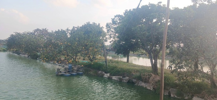 PHƯỢNG DỰC: KHI NHỮNG "LÃO NÔNG" TRỞ THÀNH "KỸ SƯ SỐ"- Ảnh 2.