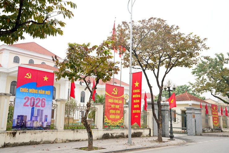 PHƯỜNG SƠN TÂY RỘN RÀNG CỜ HOA CHÀO MỪNG NĂM MỚI 2026- Ảnh 1.