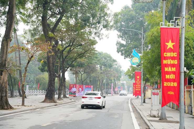 PHƯỜNG SƠN TÂY RỘN RÀNG CỜ HOA CHÀO MỪNG NĂM MỚI 2026- Ảnh 3.