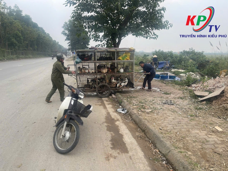 XÃ KIỀU PHÚ RA QUÂN XỬ LÝ CÁC ĐIỂM NGHẼN VỀ TRẬT TỰ ĐÔ THỊ- Ảnh 10.