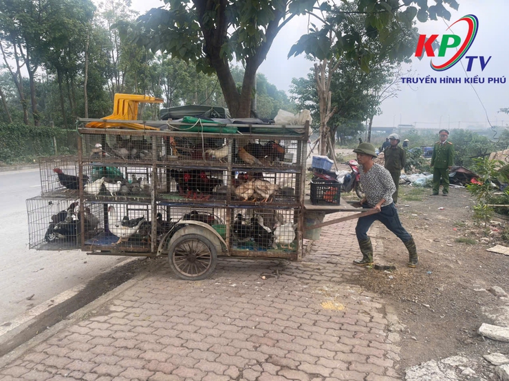 XÃ KIỀU PHÚ RA QUÂN XỬ LÝ CÁC ĐIỂM NGHẼN VỀ TRẬT TỰ ĐÔ THỊ- Ảnh 8.