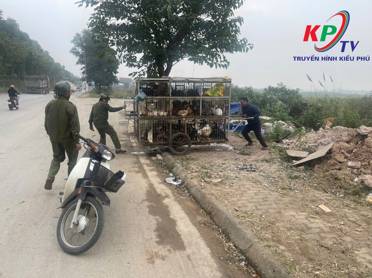 XÃ KIỀU PHÚ RA QUÂN XỬ LÝ CÁC ĐIỂM NGHẼN VỀ TRẬT TỰ ĐÔ THỊ- Ảnh 6.