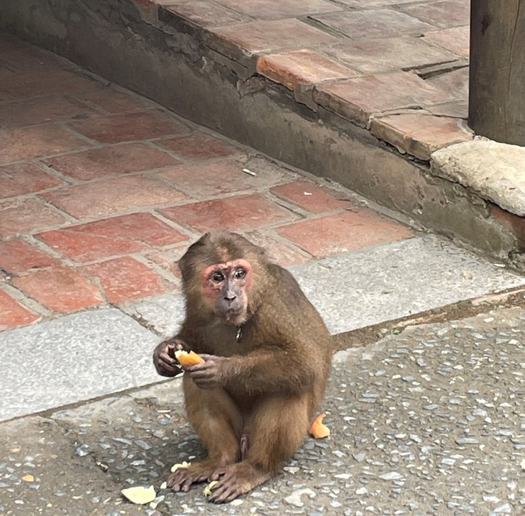 THÔNG BÁO- Ảnh 2.