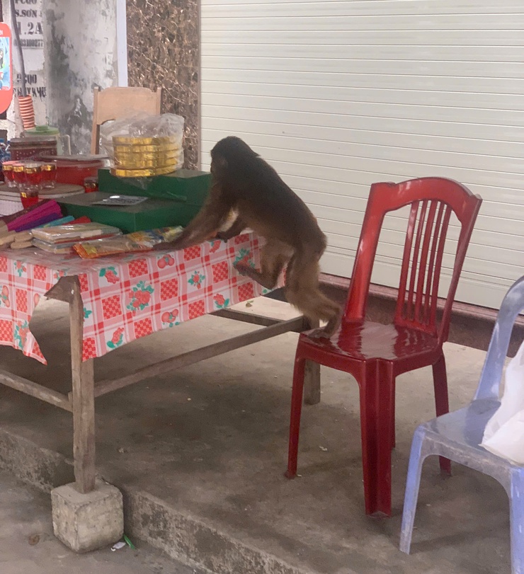 THÔNG BÁO- Ảnh 1.