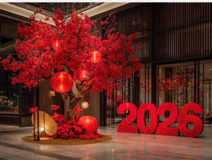 TẠM BIỆT NĂM 2025 – CHÀO NĂM MỚI 2026- Ảnh 4.