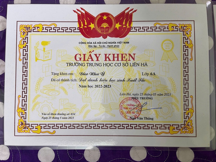 ĐÀO NHƯ Ý – TẤM GƯƠNG HỌC GIỎI, SỐNG ĐẸP VỚI ƯỚC MƠ TRỞ THÀNH CÔ GIÁO- Ảnh 4.