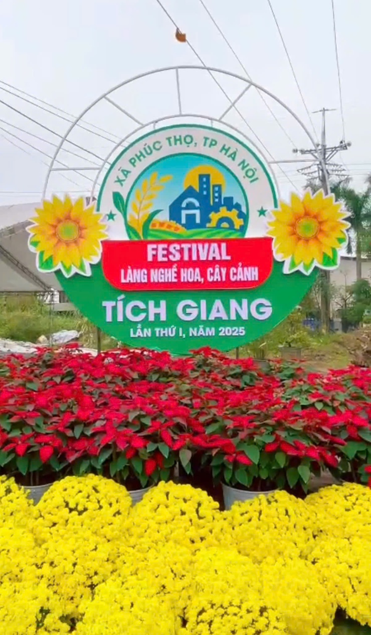 PHÚC THỌ SẴN SÀNG CHO FESTIVAL LÀNG NGHỀ HOA, CÂY CẢNH TÍCH GIANG LẦN THỨ I- Ảnh 6.