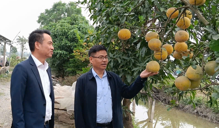 HỌC VIỆN NÔNG NGHIỆP VIỆT NAM THĂM VÀ ĐỊNH HƯỚNG PHÁT TRIỂN NÔNG NGHIỆP TẠI ỨNG HOÀ- Ảnh 2.