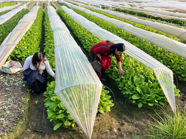 Trường Tiểu học Đại Kim tăng cường giám sát, trực tiếp kiểm chứng chất lượng nguồn cung ứng thực phẩm cho bếp ăn bán trú- Ảnh 4.