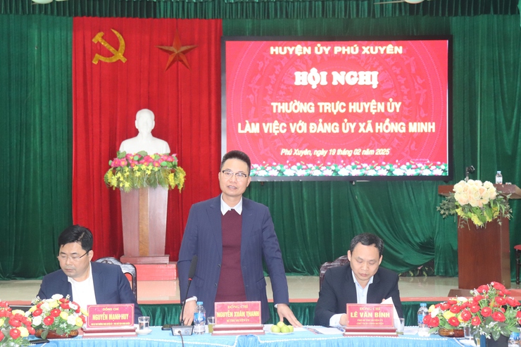 Thường trực Huyện ủy làm việc với Đảng ủy xã Hồng Minh- Ảnh 6.