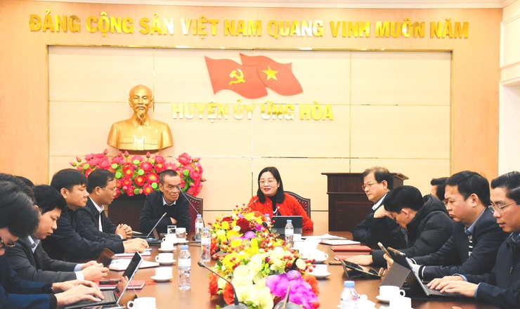 Huyện Ứng Hoà làm việc với chuyên gia về Chuyển đổi số.- Ảnh 1.