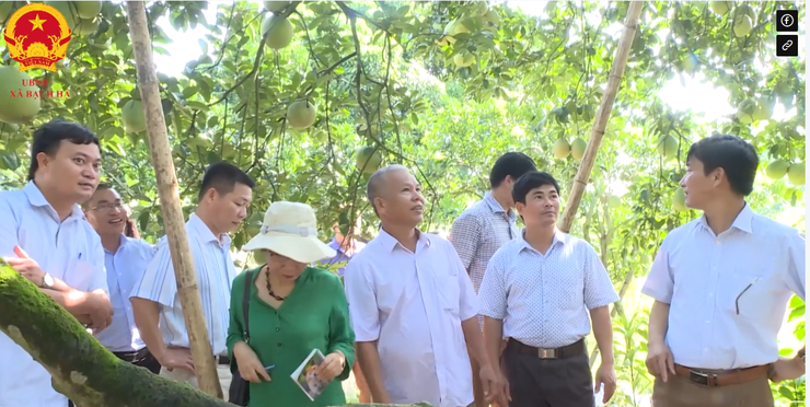 Bạch Hạ bảo tồn và giữ gìn di tích lịch sử kiến trúc nghệ thuật gắn với phát triển kinh tế- Ảnh 5.