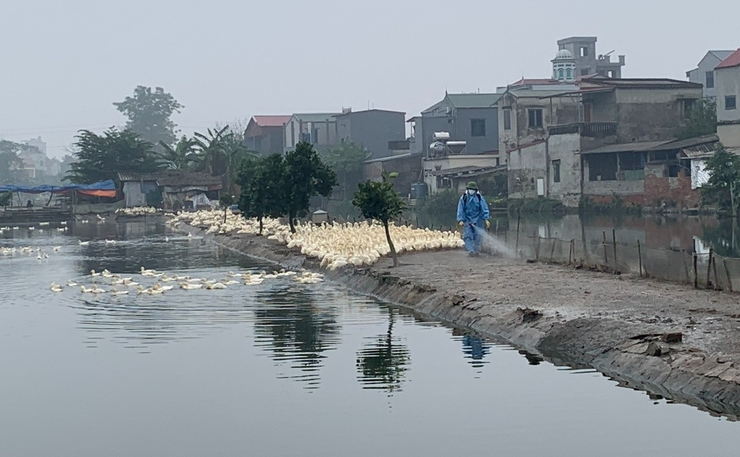 TRUNG TÂM DỊCH VỤ NÔNG NGHIỆP HUYỆN HOÀN THÀNH ĐỢT VỆ SINH TIÊU ĐỢT ĐẦU NĂM 2025.- Ảnh 3.