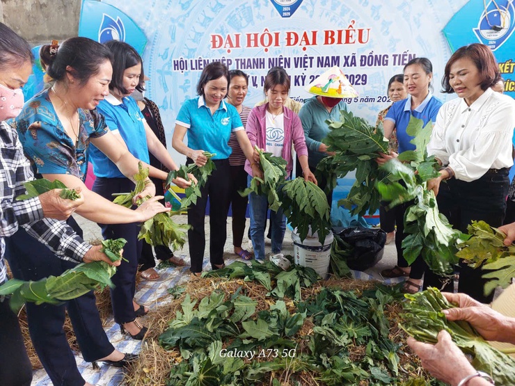 Gương cán bộ phụ nữ tích cực tham gia xây dựng NTM.- Ảnh 2.