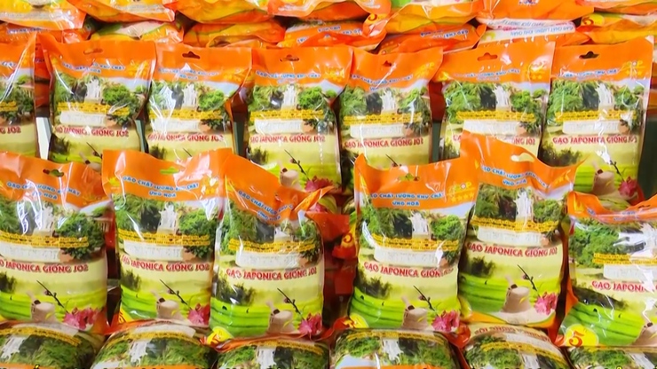 Ứng Hoà: Đa dạng mô hình nông nghiệp công nghệ cao- Ảnh 2.