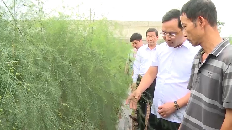 Ứng Hoà: Đa dạng mô hình nông nghiệp công nghệ cao- Ảnh 1.