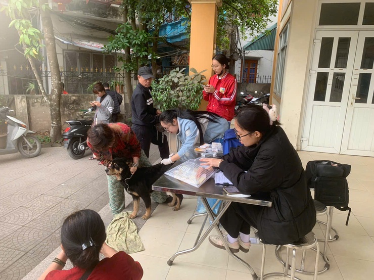 Phường Vĩnh Hưng Triển khai tổ chức tiêm phòng dại cho đàn chó mèo năm 2025 trên địa bàn phường.- Ảnh 1.