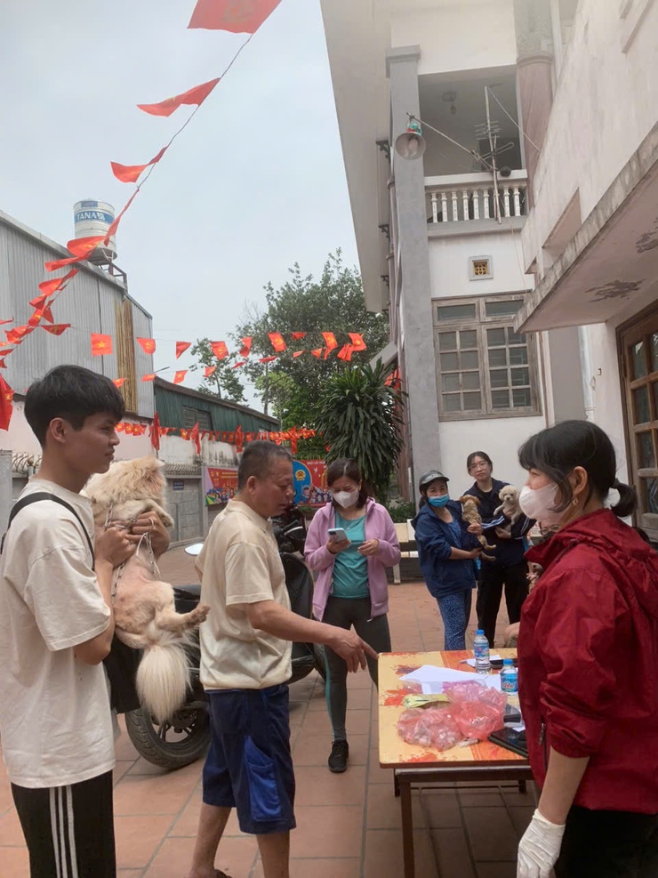 Phường Vĩnh Hưng Triển khai tổ chức tiêm phòng dại cho đàn chó mèo năm 2025 trên địa bàn phường.- Ảnh 3.