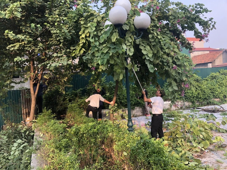 GƯƠNG SÁNG GIỮA ĐỜI THƯỜNG- Ảnh 6.