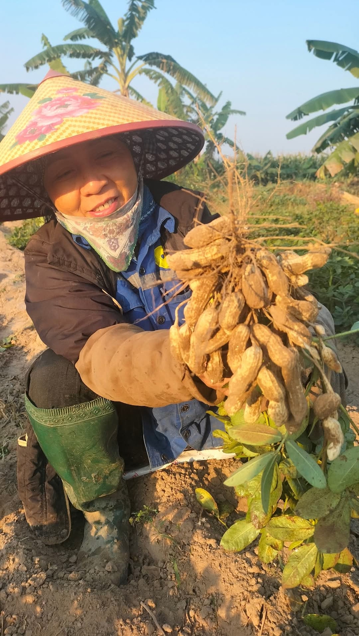 Nông dân Phú Xuyên làm giàu từ Nông nghiệp- Ảnh 4.