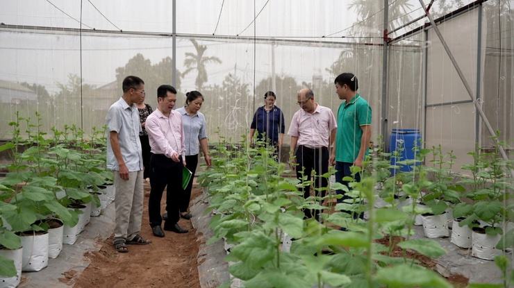 Ông Nguyễn Hữu Hồng: Làm giàu nhờ trồng dưa lưới công nghệ cao trong nhà màng kính.- Ảnh 1.