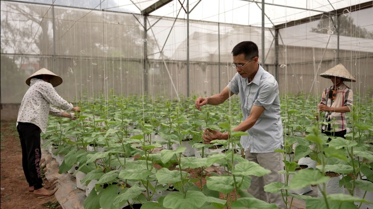 Ông Nguyễn Hữu Hồng: Làm giàu nhờ trồng dưa lưới công nghệ cao trong nhà màng kính.- Ảnh 2.