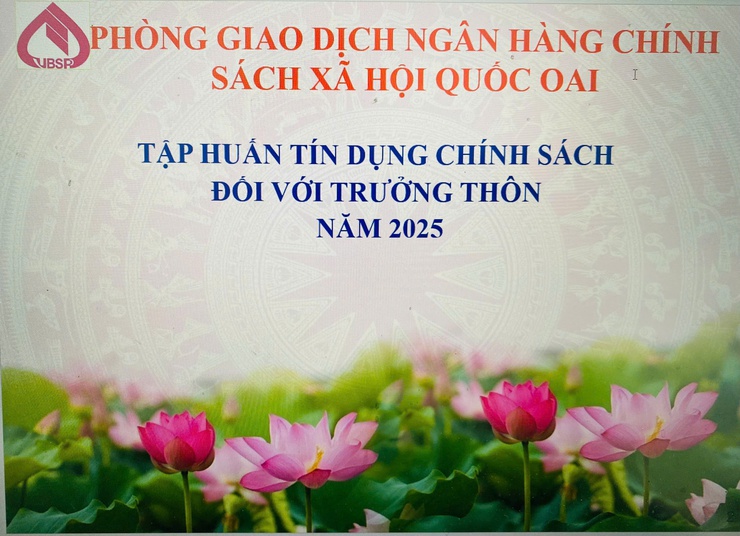 Tập huấn tín dụng chính sách đối với trưởng thôn năm 2025- Ảnh 1.