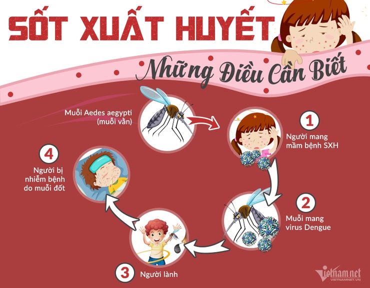 Phòng chống sốt xuất huyết, tay chân miệng, COVID-19- Ảnh 2.
