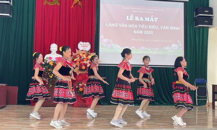Xã Tảo Dương Văn ra mắt Làng văn hoá tiêu biểu - văn minh thôn Đông Dương- Ảnh 4.