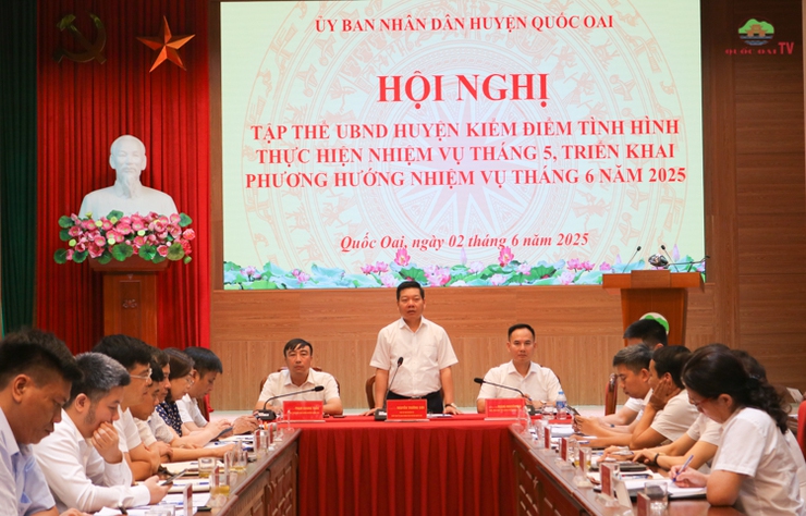 Tổng giá trị sản xuất trên địa bàn 6 tháng đầu năm trên địa bàn huyện Quốc Oai ước đạt 10.677 tỷ đồng- Ảnh 11.