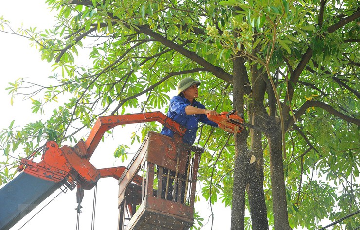 Bộ Xây dựng phát đi Công điện khẩn ứng phó mưa lũ, sạt lở đất- Ảnh 2.