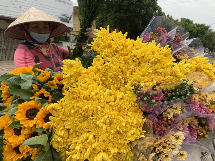 Ngắm vẻ đẹp rực rỡ của hoa cúc Đại Bái, xã Quang Minh- Ảnh 23.