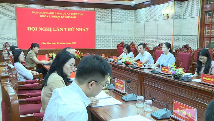 XÃ PHÚC THỌ VẬN HÀNH THỬ NGHIỆM MÔ HÌNH CHÍNH QUYỀN ĐỊA PHƯƠNG 2 CẤP- Ảnh 3.