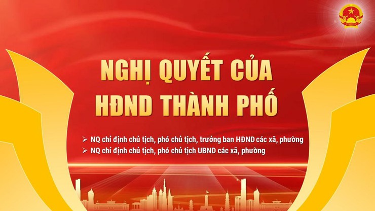 Lễ công bố các Nghị quyết và Quyết định về việc triển khai tổ chức đơn vị hành chính cấp xã- Ảnh 4.