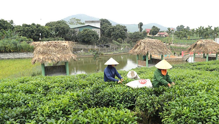 GIỚI THIỆU TỔNG QUAN VỀ XÃ SUỐI HAI- Ảnh 2.