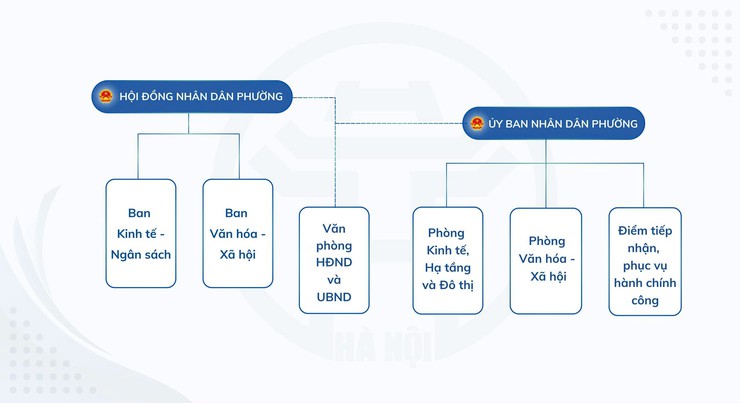 SƠ ĐỒ TỔ CHỨC CỦA HỘI ĐỒNG NHÂN DÂN - ỦY BAN NHÂN DÂN PHƯỜNG YÊN HÒA- Ảnh 1.