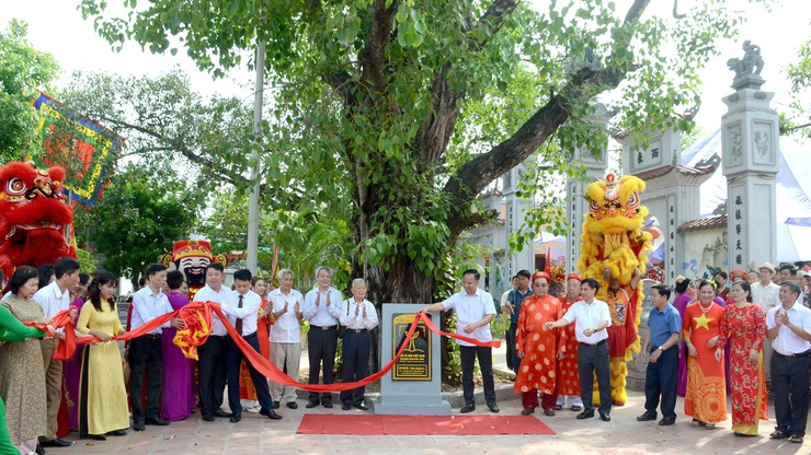 Lễ công bố Quyết định Cây di sản Việt Nam và Bằng công nhận Cây Mít, Cây Đa, Cây Bồ đề tại di tích lịch sử Quốc gia Đình, Đền Đông Thiên phường Vĩnh Hưng - Ảnh 4.