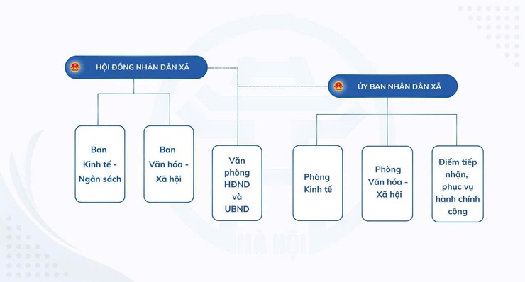 SƠ ĐỒ CÁC PHÒNG BAN CHUYÊN MÔN- Ảnh 1.
