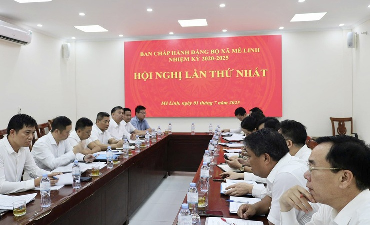 Hội nghị Ban Chấp hành Đảng bộ xã Mê Linh xem xét, quyết nghị nhiều nội dung quan trọng- Ảnh 2.