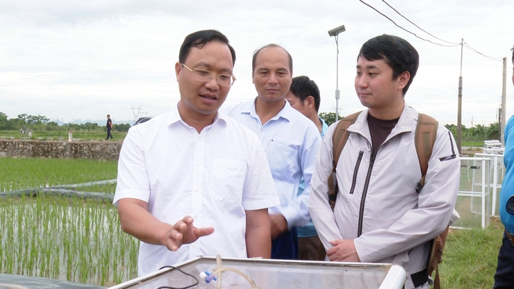 ỨNG HÒA THỰC HIỆN THÍ ĐIỂM MÔ HÌNH TRỒNG LÚA GIẢM PHÁT THẢI KHÍ NHÀ KÍNH GẮN VỚI TÍN CHỈ CÁC-BON.- Ảnh 1.
